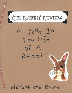 Rabbit Review